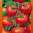 Томат (Помидор) обыкновенный Увертюра НК F1 Томат (Помидор) обыкновенный Увертюра НК F1