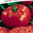 Томат (Помидор) обыкновенный Мастер Гарден F1 Томат (Помидор) обыкновенный Мастер Гарден F1